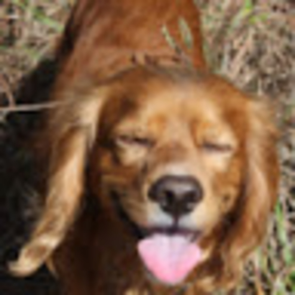 Meet your Posher, Sara